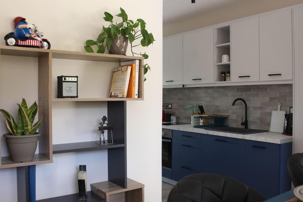 Agnes Apartment Filopappou Афіни Екстер'єр фото